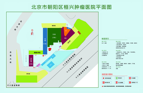 吊逼视频软件北京市朝阳区桓兴肿瘤医院平面图